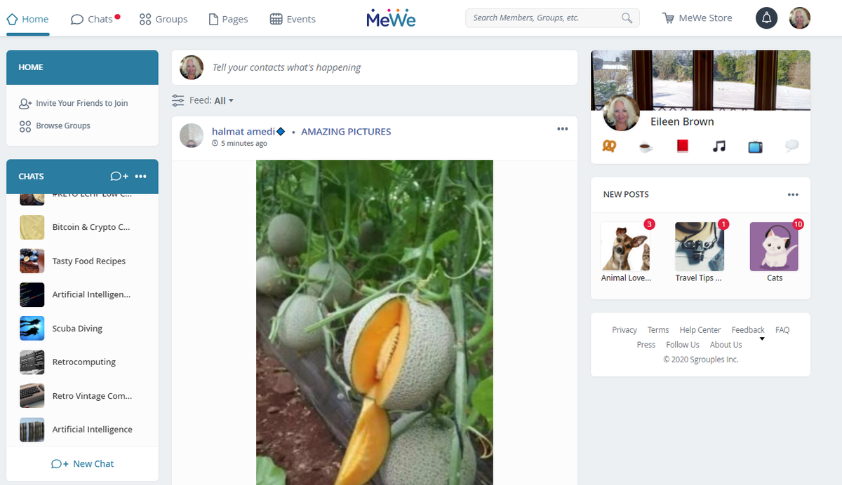 Have issues with Facebook data collecting? Privacy-first alternative MeWe surges to 9M users zdnet